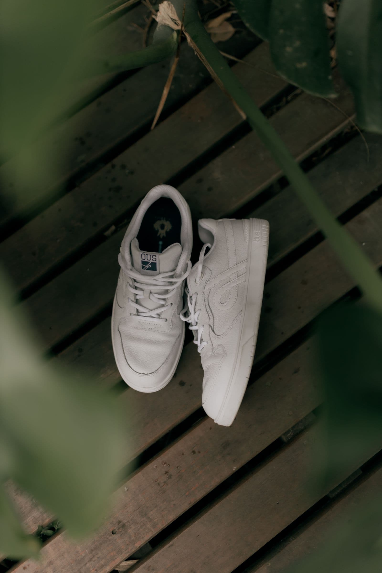 Shoes, shown on a model or on its own